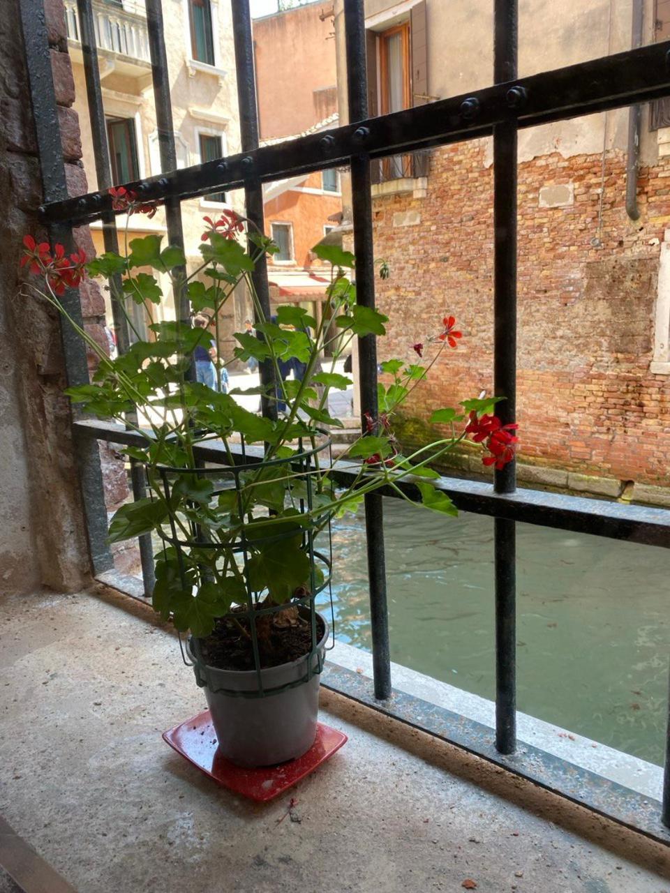 Canal View Venezia Eksteriør bilde